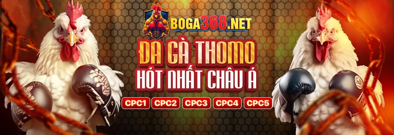 Tổng quan các loại khuyến mãi GX33